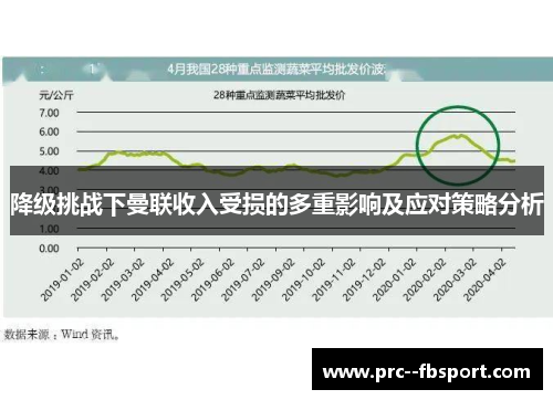降级挑战下曼联收入受损的多重影响及应对策略分析