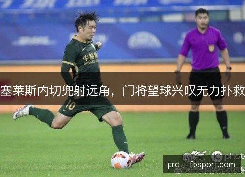 塞莱斯内切兜射远角，门将望球兴叹无力扑救